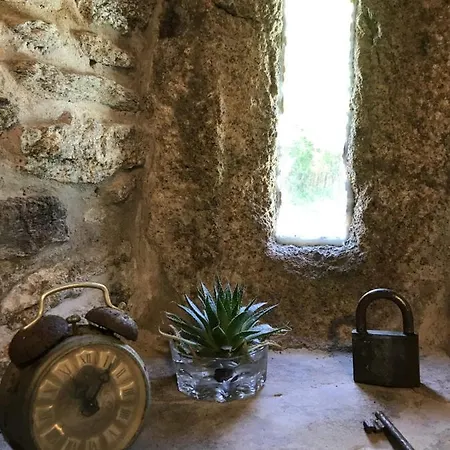 Pazo De *